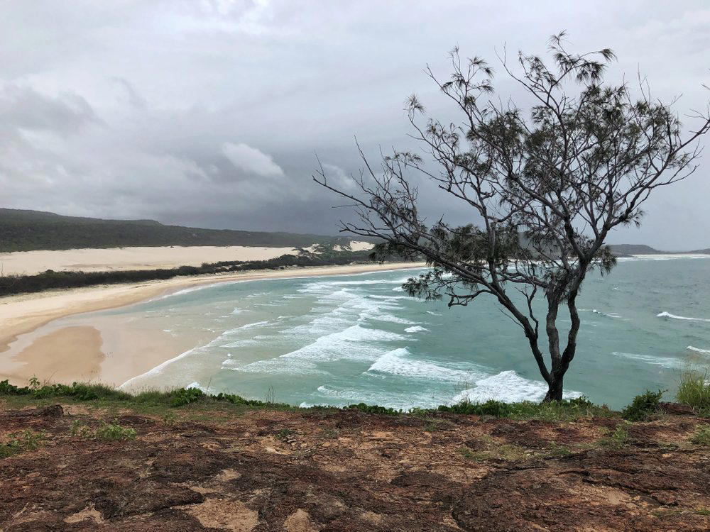Fraser Island, Australia Cape Tribulation, Australia, Playa Zipolite, Mexico, Morecambe Bay, United Kingdom, Myrtle Beach, South Carolina, Chowpatty Beach, India, Fraser Island, Australia, Amazon Beaches, South America, Northern Territory, Australia, Ehukai Beach Park, Hawaii