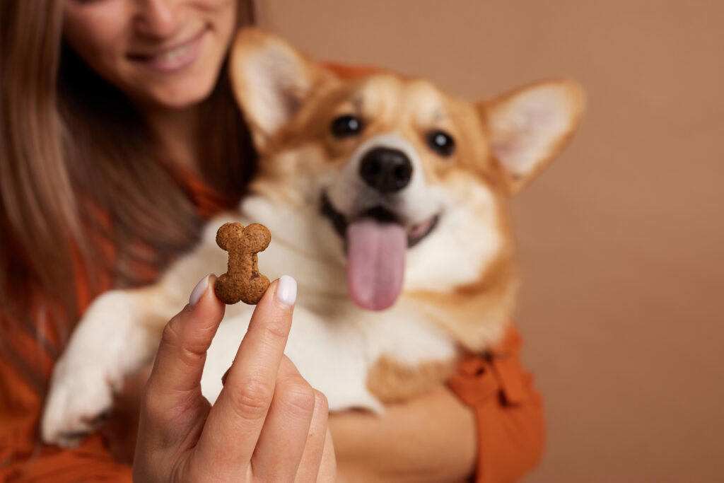 Tip #1: Keep Ingredients Simple and Safe, Tip #2: Choose the Right Treat Size, Tip #3: Store Them Properly, Tip #4: Consider Dietary Needs, Tip #5: Make It Fun and Involve the Family, Recipe #1: Peanut Butter &amp; Banana Dog Cookie, Recipe #2: Tuna and Catnip Cat Treats, Recipe #3: Frozen Chicken Broth Cubes (Dogs or Cats), Recipe #4: Apple and Carrot Bunny Bites, Recipe #5: Hamster-Friendly Seed Balls, Have Fun Treat-Making!