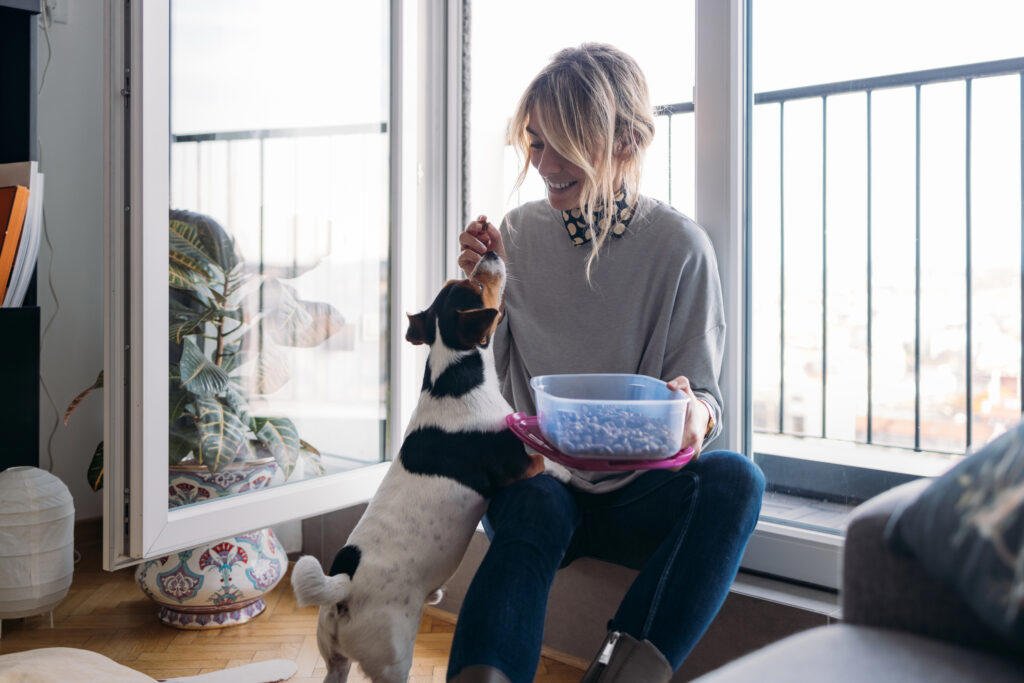 Tip #1: Keep Ingredients Simple and Safe, Tip #2: Choose the Right Treat Size, Tip #3: Store Them Properly, Tip #4: Consider Dietary Needs, Tip #5: Make It Fun and Involve the Family, Recipe #1: Peanut Butter &amp; Banana Dog Cookie, Recipe #2: Tuna and Catnip Cat Treats, Recipe #3: Frozen Chicken Broth Cubes (Dogs or Cats), Recipe #4: Apple and Carrot Bunny Bites, Recipe #5: Hamster-Friendly Seed Balls, Have Fun Treat-Making!