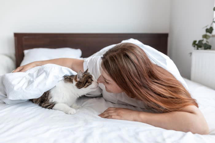 愛猫が腕のなかで寝たがる3つの理由, 1.飼い主さんを信頼しているから, 2.温もりを求めている, 3.習慣になっている, 愛猫に一緒に寝てもらえるようになるには？