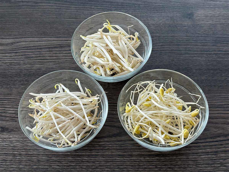 ■もやしの違い①緑豆もやしの特徴, ■もやしの違い②黒豆（ブラックマッペ）もやしの特徴, ■もやしの違い③大豆もやしの特徴, ■使い分けのコツ
