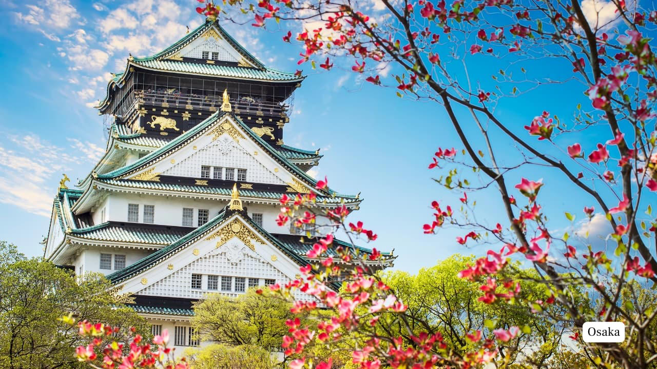 11. Osaka, Japan – Reader Score: 87.67 Osaka delivers hearty cuisine and a down-to-earth charm. The city’s street food, historic castle, and bustling shopping districts give Tokyo a compelling rival. (Image: Canva) 1. Chiang Mai, Thailand – Reader Score: 91.94 A perennial favourite and WBA Hall of Fame inductee, Chiang Mai balances serene landscapes with vibrant culture. Nestled in northern Thailand, the city is home to ancient temples like Wat Phra That Doi Suthep and bustling night markets offering local dishes such as mango sticky rice and khao soi. The surrounding mountains provide trails and ethical elephant sanctuaries, making it a haven for nature enthusiasts. (Image: Canva), 2. Tokyo, Japan – Reader Score: 91.39 Modern marvels and timeworn shrines coexist seamlessly in Tokyo. The Japanese capital captivates with its refined culinary scene, cutting-edge fashion, and neighbourhoods that oscillate between futurism and tradition. (Image: Canva), 3. Bangkok, Thailand – Reader Score: 91.34 Dynamic and dizzying, Bangkok offers a sensorial overload. Whether it’s cruising the Chao Phraya River, exploring grand temples, or navigating its famed street food scene, this city rewards every kind of traveller. (Image: Canva), 4. Jaipur, India – Reader Score: 91.33 The "Pink City" of Rajasthan is an architectural symphony of forts, palaces, and old-world bazaars. Jaipur's enduring charm lies in its royal heritage and vibrant craftsmanship. (Image: Canva), 6. Kyoto, Japan – Reader Score: 90.61 Steeped in Zen tranquillity, Kyoto is the soul of traditional Japan. With moss-covered temples, seasonal gardens, and preserved teahouses, it offers a contemplative counterpoint to modern urbanism. (Image: Canva), 7. Ubud, Indonesia – Reader Score: 90.48 Bali's cultural epicentre, Ubud is known for its terraced rice fields, art studios, and wellness retreats. It's where Balinese spirituality and global creative communities intersect. (Image: Canva), 8. Siem Reap, Cambodia – Reader Score: 89.27 Gateway to the awe-inspiring Angkor Wat, Siem Reap charms with its colonial-era architecture and artisan markets. Beyond the temples, its culinary and cultural offerings continue to grow. (Image: Canva), 9. Mumbai, India – Reader Score: 89.17 India's financial hub doubles as its cultural nerve centre. From Bollywood studios and Victorian Gothic buildings to street food and sea-facing promenades, Mumbai pulses with contrasts. (Image: Canva), 10. Agra, India – Reader Score: 88.44 While best known for the Taj Mahal, Agra also boasts the Agra Fort and Itmad-ud-Daulah’s Tomb. It remains a significant waypoint for those tracing India’s Mughal legacy. (Image: Canva), 11. Osaka, Japan – Reader Score: 87.67 Osaka delivers hearty cuisine and a down-to-earth charm. The city’s street food, historic castle, and bustling shopping districts give Tokyo a compelling rival. (Image: Canva), 12. Hanoi, Vietnam – Reader Score: 87.61 The Vietnamese capital weaves communist-era history with ancient temples and a dynamic café culture. Its lakes, boulevards, and Old Quarter are ripe for exploration. (Image: Canva), 13. Taipei, Taiwan – Reader Score: 86.89 With its famed night markets and scenic trails, Taipei offers the ease of a modern capital with the intimacy of a local town. The food scene is particularly irresistible. (Image: Canva), 14. Singapore – Reader Score: 86.47 This city-state epitomises innovation. Known for its green skyscrapers, diverse cuisine, and clean efficiency, Singapore remains a model for futuristic urban planning. (Image: Canva), 15. Seoul, South Korea – Reader Score: 85.85 From K-pop to Gyeongbokgung Palace, Seoul is a confluence of global pop culture and deep-rooted traditions. Its districts are distinct microcosms offering everything from street fashion to hanbok-clad history. (Image: Canva)