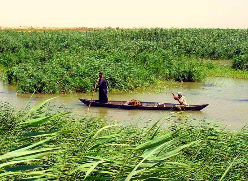 Mesopotamia Marshes, Iraq Okavango Delta, Botswana, Camargue, France, Pantanal, Brazil, Danube Delta, Romania, Kafue Flats, Zambia, Sundarbans, Bangladesh, Kopački Rit, Croatia, Ria Formosa, Portugal, Sudd, South Sudan, Caerlaverock, Scotland, Mesopotamia Marshes, Iraq, Marais Poitevin, France