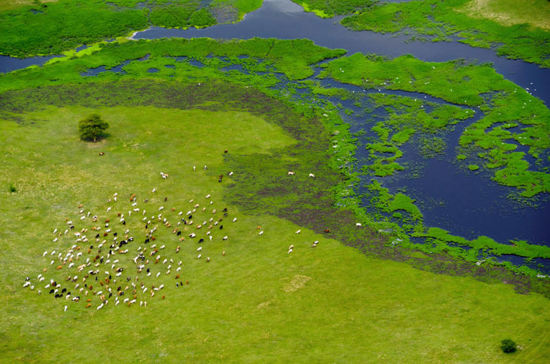 Sudd, South Sudan Okavango Delta, Botswana, Camargue, France, Pantanal, Brazil, Danube Delta, Romania, Kafue Flats, Zambia, Sundarbans, Bangladesh, Kopački Rit, Croatia, Ria Formosa, Portugal, Sudd, South Sudan, Caerlaverock, Scotland, Mesopotamia Marshes, Iraq, Marais Poitevin, France