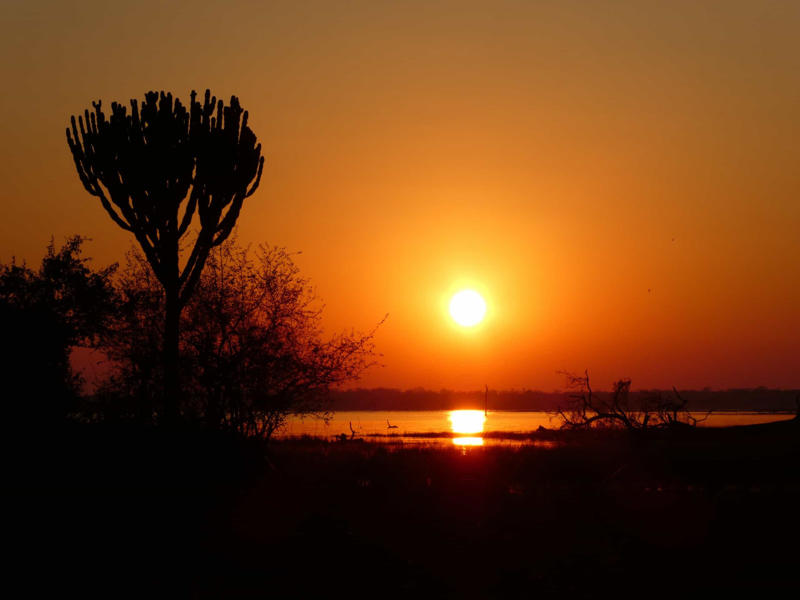 Kafue Flats, Zambia Okavango Delta, Botswana, Camargue, France, Pantanal, Brazil, Danube Delta, Romania, Kafue Flats, Zambia, Sundarbans, Bangladesh, Kopački Rit, Croatia, Ria Formosa, Portugal, Sudd, South Sudan, Caerlaverock, Scotland, Mesopotamia Marshes, Iraq, Marais Poitevin, France