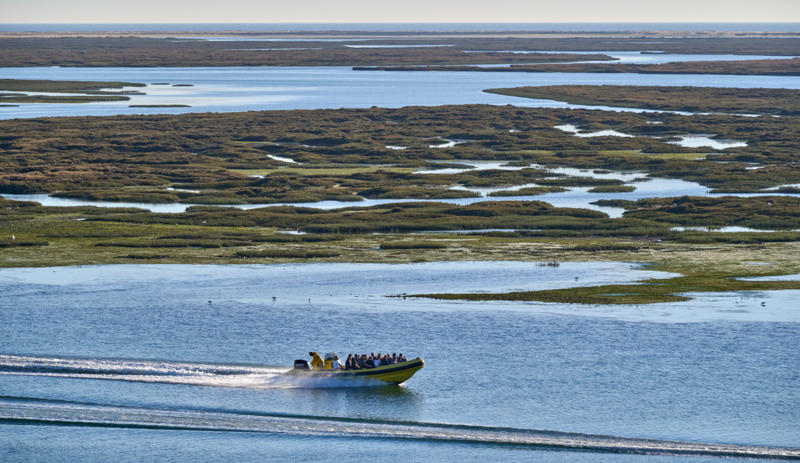 Ria Formosa, Portugal Okavango Delta, Botswana, Camargue, France, Pantanal, Brazil, Danube Delta, Romania, Kafue Flats, Zambia, Sundarbans, Bangladesh, Kopački Rit, Croatia, Ria Formosa, Portugal, Sudd, South Sudan, Caerlaverock, Scotland, Mesopotamia Marshes, Iraq, Marais Poitevin, France