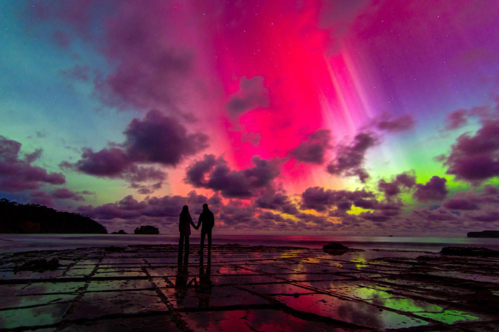 Science photography competition reveals never seen before glowing critter
