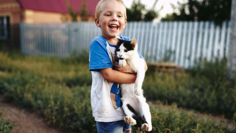 1. Pets Can Lower Your Blood Pressure, 2. Pets Reduce The Risk Of Heart Disease, 3. Pets Aid In Addiction Recovery, 4. Pets Reduce Feelings Of Loneliness, 5. Pets Encourage Daily Physical Activity, 6. Service Animals Aid With Disabilities, 7. Pets Support Immune Development In Children, 8. Pets Promote Routine And Structure, 9. Pets Improve Social Skills In Kids, 10. Pets Regulate Emotional Well‑being, 1. Pets May Transmit Zoonotic Diseases, 2. Pet Care Can Be Expensive, 3. Pets Can Increase Fall Risk For The Elderly, 4. Pets Can Disrupt Sleep, 5. Pets May Cause Stress Or Anxiety, 6. Pets Can Damage Property, 7. Pets Can Worsen Respiratory Conditions, 8. Some Pets Are Risky For Kids, 9. Pets Limit Travel Freedom, 10. Pets Can Bring Ethical &amp; Emotional Dilemmas