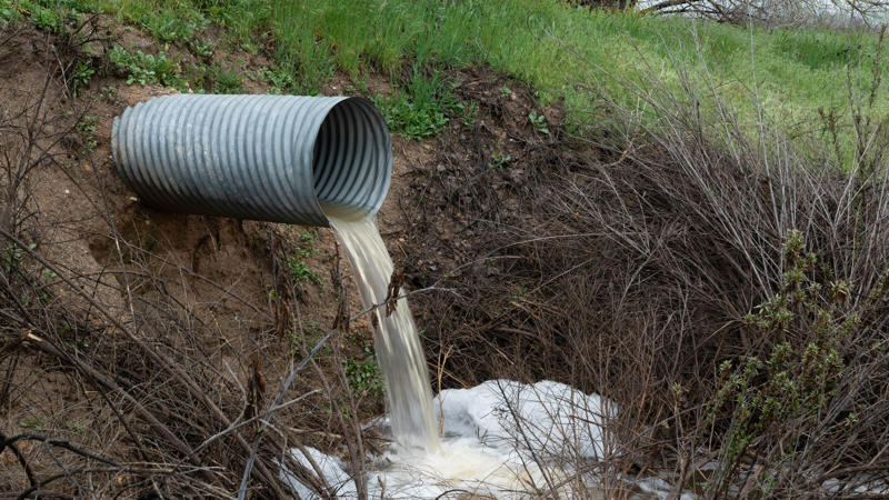 1. Gear Oil, 2. Pet Urine, 4. Vomit, 5. Diesel Fuel, 6. Paint (Oil-Based), 7. Motor Oil, 8. Paint Thinner/Solvents, 9. Raw Egg, 10. Human Blood, 11. Sewage Or Septic Waste, 12. Rotten Fish Or Seafood, 13. Raw Meat Juices, 14. Honey Or Syrup, 15. Hot Grease Or Cooking Oil, 16. Mustard, 17. Red Wine, 18. Chocolate Syrup, 19. Energy Drinks, 20. Ketchup