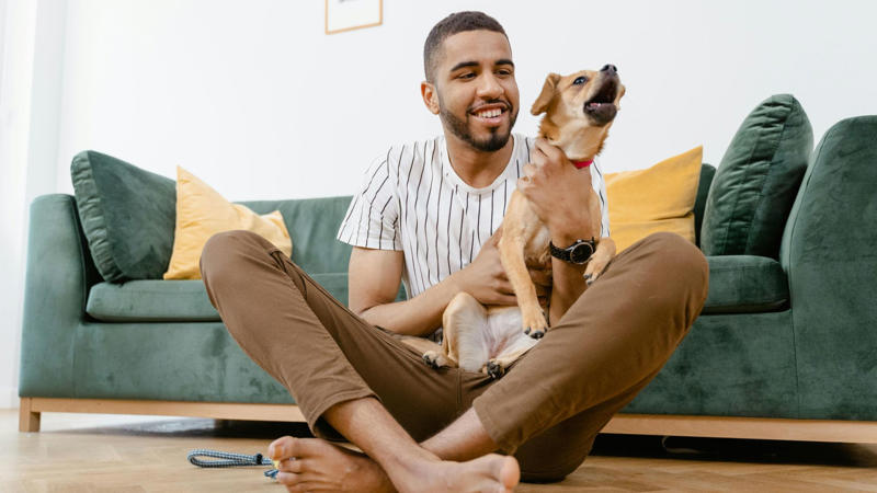 1. Pets Can Lower Your Blood Pressure, 2. Pets Reduce The Risk Of Heart Disease, 3. Pets Aid In Addiction Recovery, 4. Pets Reduce Feelings Of Loneliness, 5. Pets Encourage Daily Physical Activity, 6. Service Animals Aid With Disabilities, 7. Pets Support Immune Development In Children, 8. Pets Promote Routine And Structure, 9. Pets Improve Social Skills In Kids, 10. Pets Regulate Emotional Well‑being, 1. Pets May Transmit Zoonotic Diseases, 2. Pet Care Can Be Expensive, 3. Pets Can Increase Fall Risk For The Elderly, 4. Pets Can Disrupt Sleep, 5. Pets May Cause Stress Or Anxiety, 6. Pets Can Damage Property, 7. Pets Can Worsen Respiratory Conditions, 8. Some Pets Are Risky For Kids, 9. Pets Limit Travel Freedom, 10. Pets Can Bring Ethical &amp; Emotional Dilemmas