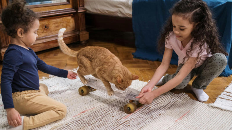 1. Pets Can Lower Your Blood Pressure, 2. Pets Reduce The Risk Of Heart Disease, 3. Pets Aid In Addiction Recovery, 4. Pets Reduce Feelings Of Loneliness, 5. Pets Encourage Daily Physical Activity, 6. Service Animals Aid With Disabilities, 7. Pets Support Immune Development In Children, 8. Pets Promote Routine And Structure, 9. Pets Improve Social Skills In Kids, 10. Pets Regulate Emotional Well‑being, 1. Pets May Transmit Zoonotic Diseases, 2. Pet Care Can Be Expensive, 3. Pets Can Increase Fall Risk For The Elderly, 4. Pets Can Disrupt Sleep, 5. Pets May Cause Stress Or Anxiety, 6. Pets Can Damage Property, 7. Pets Can Worsen Respiratory Conditions, 8. Some Pets Are Risky For Kids, 9. Pets Limit Travel Freedom, 10. Pets Can Bring Ethical &amp; Emotional Dilemmas