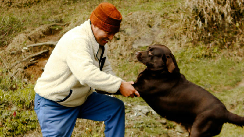 1. Pets Can Lower Your Blood Pressure, 2. Pets Reduce The Risk Of Heart Disease, 3. Pets Aid In Addiction Recovery, 4. Pets Reduce Feelings Of Loneliness, 5. Pets Encourage Daily Physical Activity, 6. Service Animals Aid With Disabilities, 7. Pets Support Immune Development In Children, 8. Pets Promote Routine And Structure, 9. Pets Improve Social Skills In Kids, 10. Pets Regulate Emotional Well‑being, 1. Pets May Transmit Zoonotic Diseases, 2. Pet Care Can Be Expensive, 3. Pets Can Increase Fall Risk For The Elderly, 4. Pets Can Disrupt Sleep, 5. Pets May Cause Stress Or Anxiety, 6. Pets Can Damage Property, 7. Pets Can Worsen Respiratory Conditions, 8. Some Pets Are Risky For Kids, 9. Pets Limit Travel Freedom, 10. Pets Can Bring Ethical &amp; Emotional Dilemmas