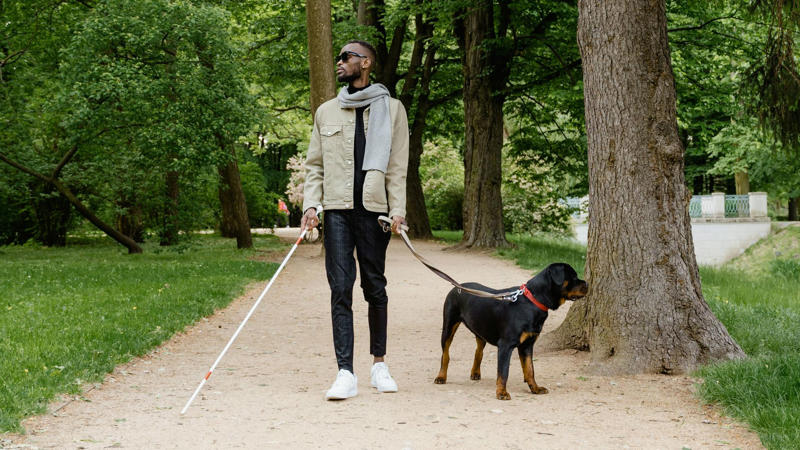 1. Pets Can Lower Your Blood Pressure, 2. Pets Reduce The Risk Of Heart Disease, 3. Pets Aid In Addiction Recovery, 4. Pets Reduce Feelings Of Loneliness, 5. Pets Encourage Daily Physical Activity, 6. Service Animals Aid With Disabilities, 7. Pets Support Immune Development In Children, 8. Pets Promote Routine And Structure, 9. Pets Improve Social Skills In Kids, 10. Pets Regulate Emotional Well‑being, 1. Pets May Transmit Zoonotic Diseases, 2. Pet Care Can Be Expensive, 3. Pets Can Increase Fall Risk For The Elderly, 4. Pets Can Disrupt Sleep, 5. Pets May Cause Stress Or Anxiety, 6. Pets Can Damage Property, 7. Pets Can Worsen Respiratory Conditions, 8. Some Pets Are Risky For Kids, 9. Pets Limit Travel Freedom, 10. Pets Can Bring Ethical &amp; Emotional Dilemmas