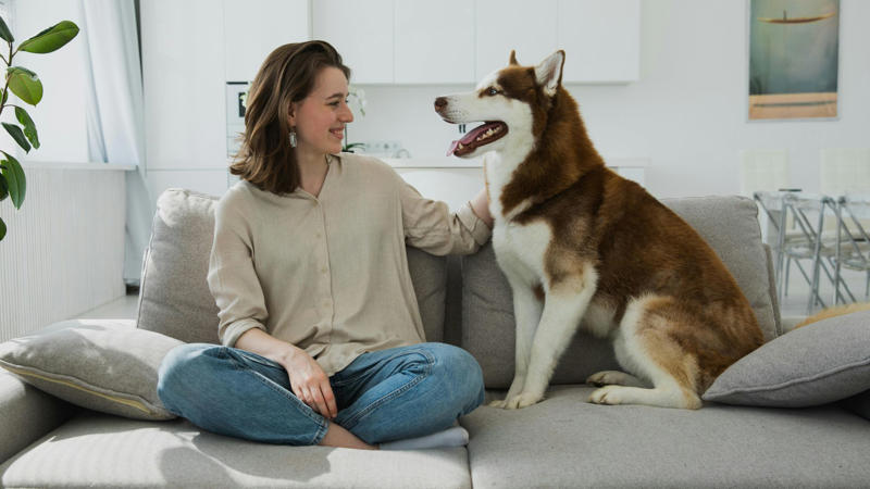 1. Pets Can Lower Your Blood Pressure, 2. Pets Reduce The Risk Of Heart Disease, 3. Pets Aid In Addiction Recovery, 4. Pets Reduce Feelings Of Loneliness, 5. Pets Encourage Daily Physical Activity, 6. Service Animals Aid With Disabilities, 7. Pets Support Immune Development In Children, 8. Pets Promote Routine And Structure, 9. Pets Improve Social Skills In Kids, 10. Pets Regulate Emotional Well‑being, 1. Pets May Transmit Zoonotic Diseases, 2. Pet Care Can Be Expensive, 3. Pets Can Increase Fall Risk For The Elderly, 4. Pets Can Disrupt Sleep, 5. Pets May Cause Stress Or Anxiety, 6. Pets Can Damage Property, 7. Pets Can Worsen Respiratory Conditions, 8. Some Pets Are Risky For Kids, 9. Pets Limit Travel Freedom, 10. Pets Can Bring Ethical &amp; Emotional Dilemmas