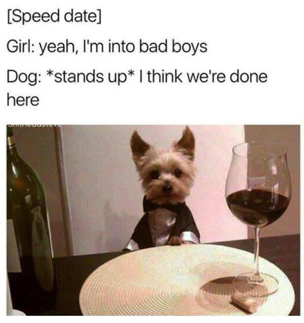 Image 1 of 31, Image 2 of 31, Image 4 of 31, Image 5 of 31, Image 6 of 31, Image 7 of 31, Image 8 of 31, Image 9 of 31, Image 10 of 31, Image 11 of 31, Image 12 of 31, Image 13 of 31, Image 14 of 31, Image 15 of 31, Image 16 of 31, Image 17 of 31, Image 18 of 31, Image 19 of 31, Image 20 of 31, Image 21 of 31, Image 22 of 31, Image 23 of 31, Image 24 of 31, Image 25 of 31, Image 26 of 31, Image 27 of 31, Image 28 of 31, Image 29 of 31, Image 30 of 31, Image 31 of 31