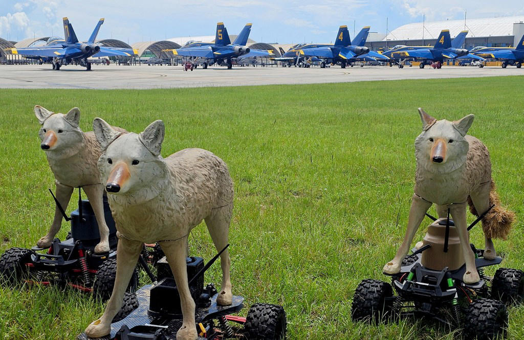 How were the Coyote Rovers made?