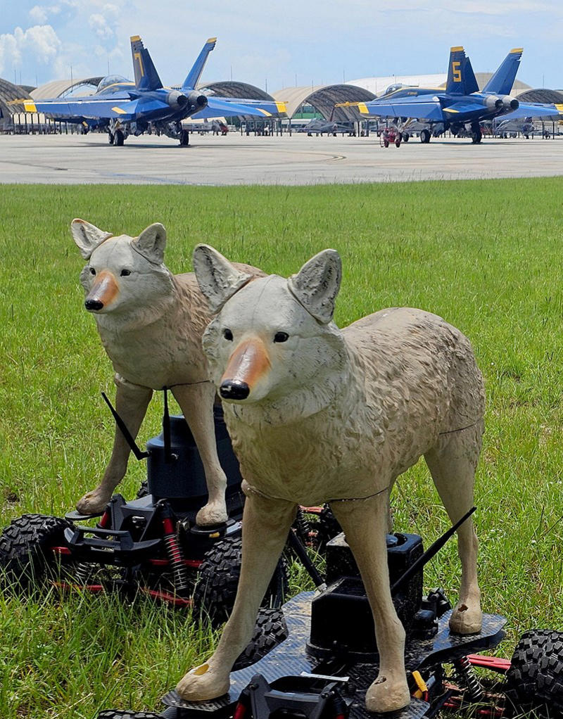 What is the purpose of the Coyote Rovers?