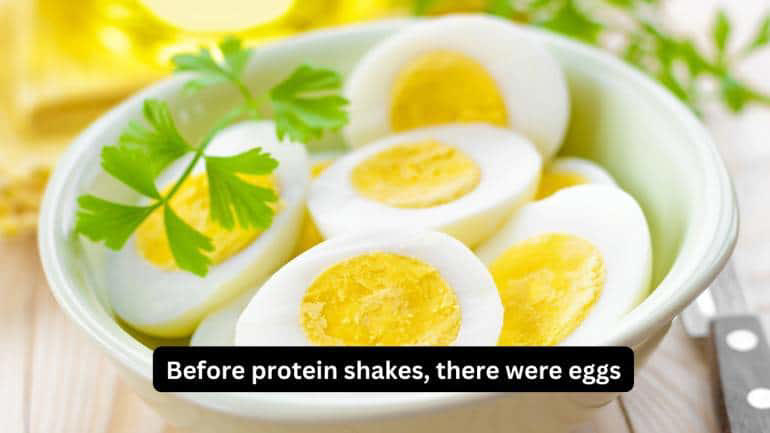 Before protein shakes, there were eggs Humans have been eating eggs for generations, and we’ve been fine. Before there were protein shakes, breakfast bars, or colourful cereal boxes, there were eggs. They've been a part of the human diet since hens were first domesticated. So, how did something so familiar become a nutritional scapegoat? Perhaps it’s easier to pick modern processed diets than the natural food.