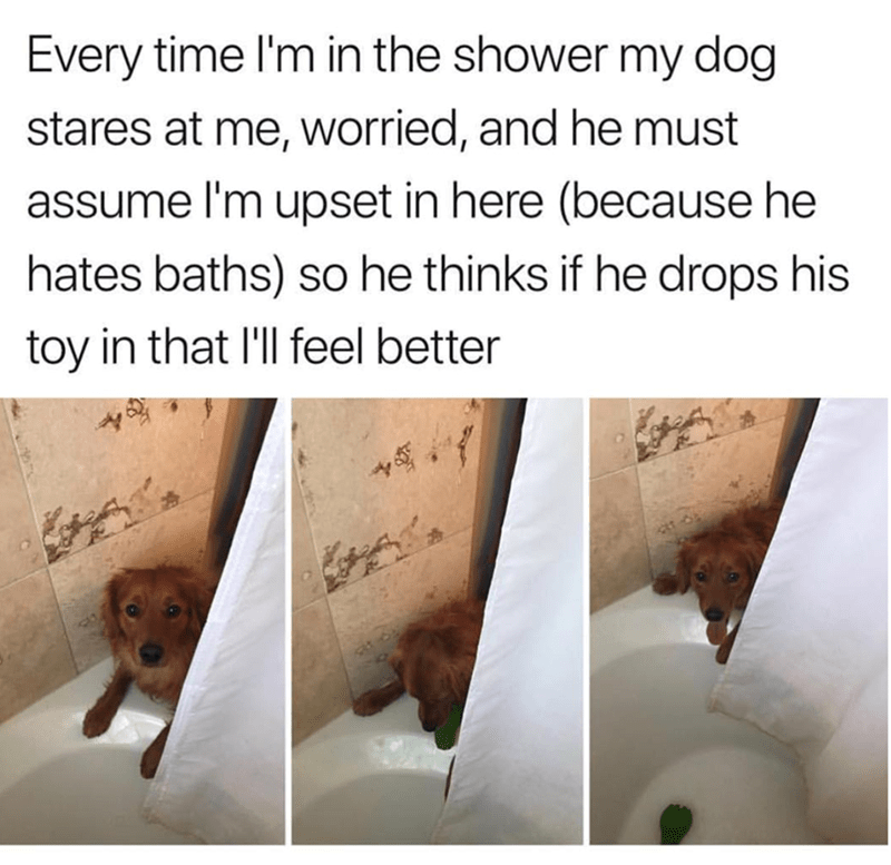 Image 1 of 31, Image 2 of 31, Image 4 of 31, Image 5 of 31, Image 6 of 31, Image 7 of 31, Image 8 of 31, Image 9 of 31, Image 10 of 31, Image 11 of 31, Image 12 of 31, Image 13 of 31, Image 14 of 31, Image 15 of 31, Image 16 of 31, Image 17 of 31, Image 18 of 31, Image 19 of 31, Image 20 of 31, Image 21 of 31, Image 22 of 31, Image 23 of 31, Image 24 of 31, Image 25 of 31, Image 26 of 31, Image 27 of 31, Image 28 of 31, Image 29 of 31, Image 30 of 31, Image 31 of 31