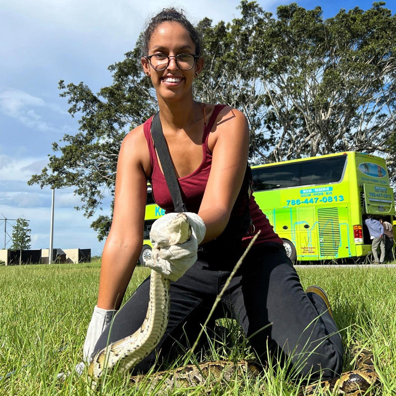 The 2025 Florida Python Challeng, an annual invasive Burmese python removal competition, kicked off July 11 and ends July 20.