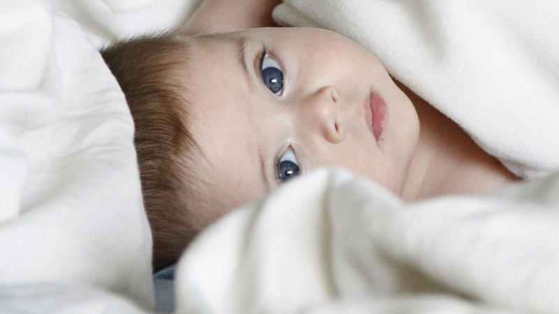 2. Oakley, 3. Nevaeh, 4. Maverick, 6. Jaxon, 8. Sawyer, 9. Kinsley, 10. Brayden, 11. Everly, 12. Silas, 13. Wren, 14. Theodore, 15. Leilani, 17. Harper, 18. Finley, 19. Layla, 20. Axel