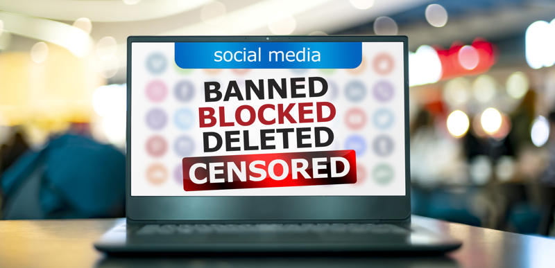 Social Media Bans The Satanic Verses, The Birth of a Nation, Comic Books and the Comics Code, Lady Chatterley's Lover, The Last Temptation of Christ, The Pentagon Papers, Ulysses by James Joyce, Heavy Metal Music and the PMRC, The Interview, Social Media Bans, When Silence Becomes a Megaphone