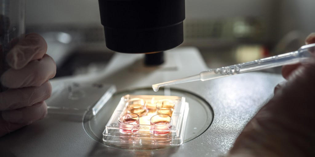 How does three-person IVF work?