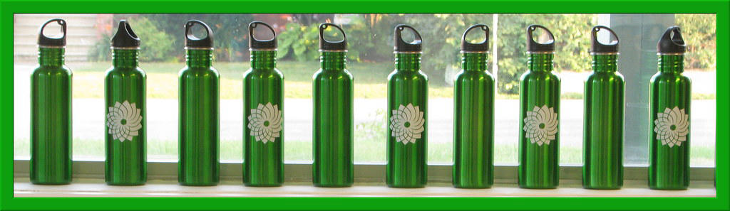 The Shocking Reality of Our Plastic Bottle Addiction, The Convenience Trap That Kept Me Hooked, The Hidden Costs That Nobody Talks About, My Quest for the Perfect Plastic Alternative, The Microplastic Wake-Up Call, The Social Pressure of Going Plastic-Free, The Cleaning and Maintenance Reality Check, The Temperature Control Struggle, The Travel Complications I Never Saw Coming, The Growing Market Response to Plastic Alternatives, The Recycling Reality That Shattered My Assumptions, The Unexpected Health Benefits I Discovered