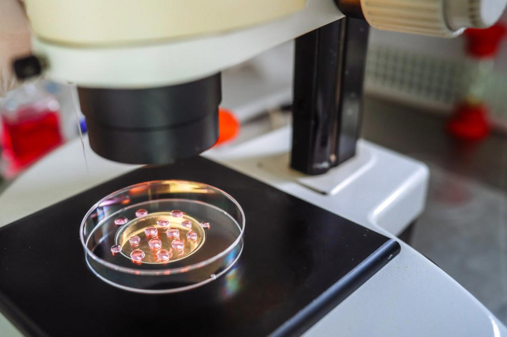 What are ‘three-parent babies’ and how exactly does the IVF treatment work?