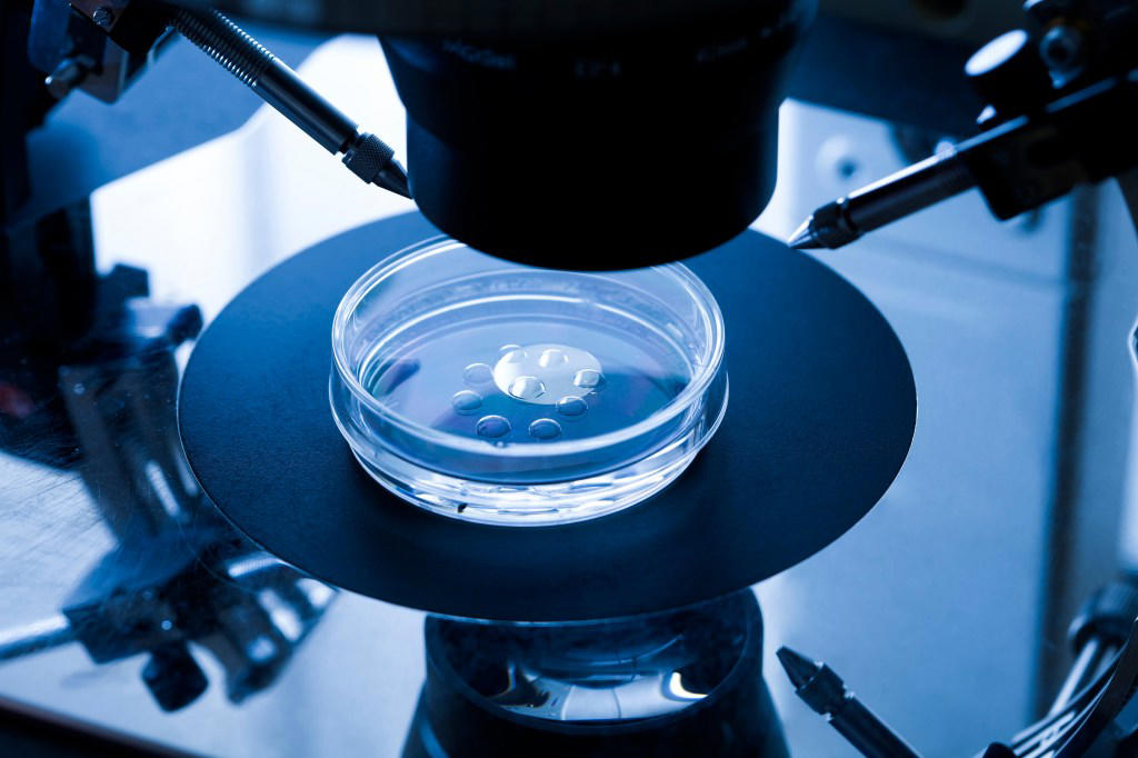 What are ‘three-parent babies’ and how exactly does the IVF treatment work?