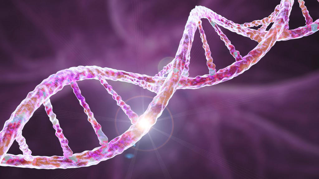 Mitochondrial disease explained