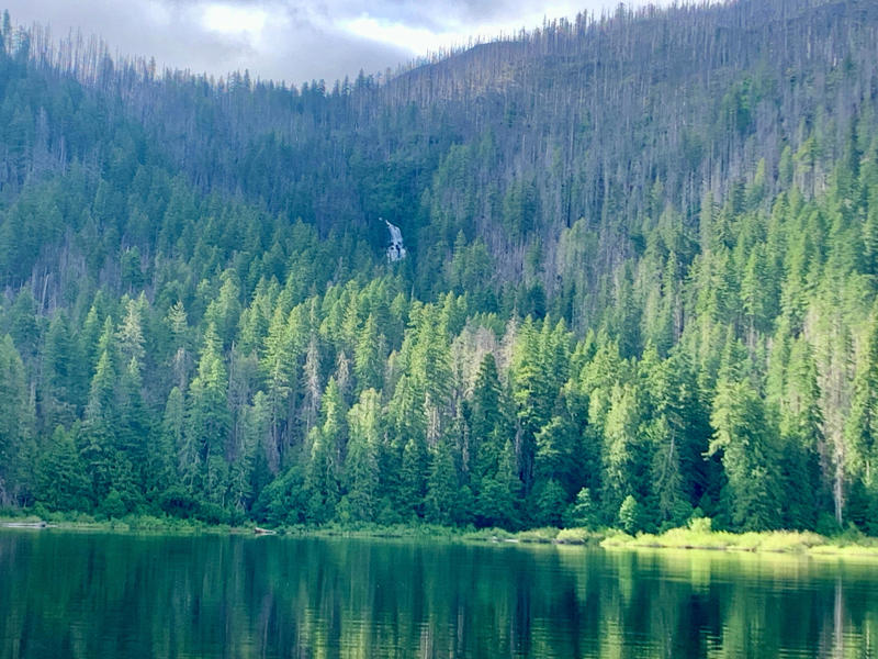 The amazing, shrinking Linton Lake, Overnight permit required at Linton Lake, but day-treks OK, Short hike leads to Linton Lake, but how to access the water?, View of falls from Linton Lake, In search of trout at Linton Lake, Brown trout found few other places in western Oregon, Harvest brookies, release browns, Linton Lake
