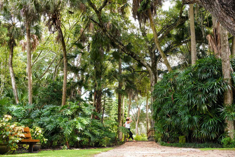 Where Is Washington Oaks Gardens State Park?, What Makes Its Beach Unique, Why Its Roses Are Special, What To Do While You're There, Know Before You Go