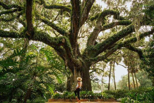 Where Is Washington Oaks Gardens State Park?, What Makes Its Beach Unique, Why Its Roses Are Special, What To Do While You're There, Know Before You Go