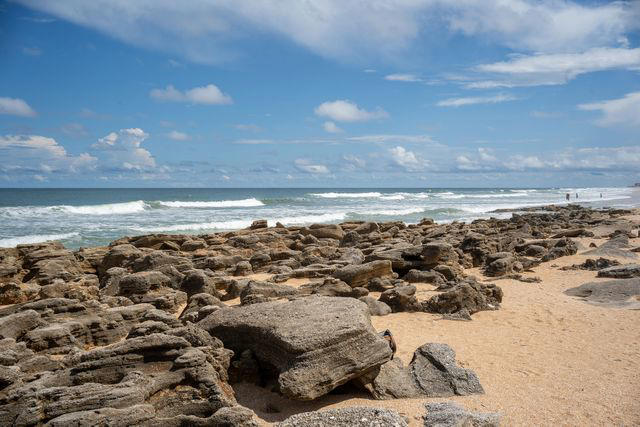 Where Is Washington Oaks Gardens State Park?, What Makes Its Beach Unique, Why Its Roses Are Special, What To Do While You're There, Know Before You Go