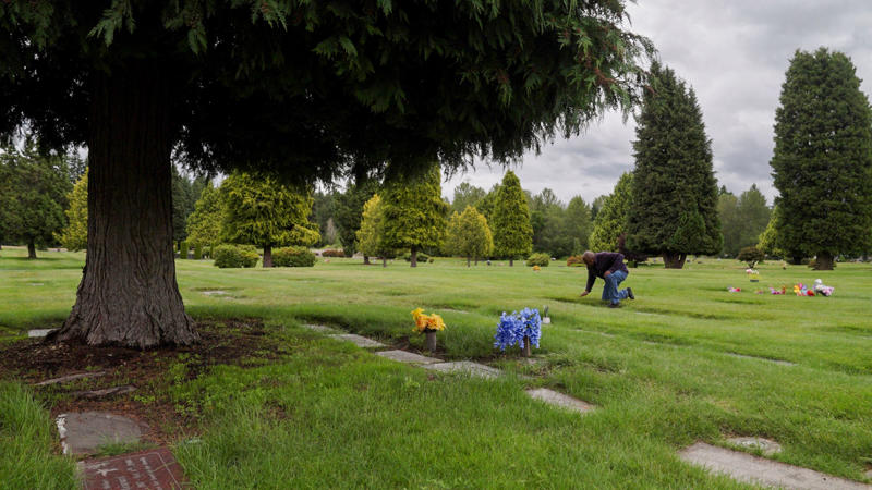 ‘They barely missed slavery’, ‘...She’s Gone Ahead’, Legally purchased land , ‘Little boy’