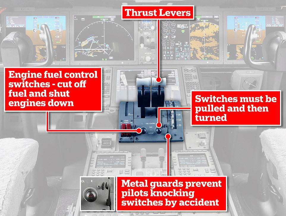 Air India pilot's final words as he left home before plane crash