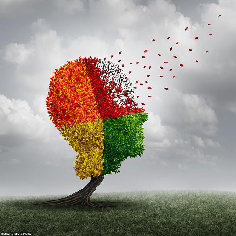 Two key factors of dementia risk that outweigh all others
