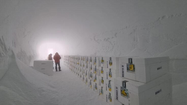 Scientists begin melting the Earth’s oldest ice to unlock 1,500,000-year-old secrets