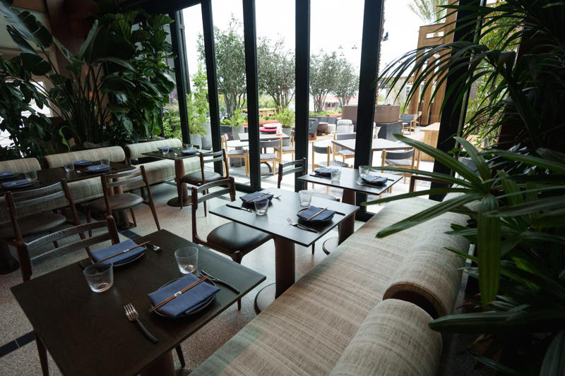 What is the Remi Scottsdale Autograph Collection about?, Inside the guest rooms at The Remi Scottsdale, The Remi has Scottsdale's highest rooftop pool, The Remi Scottsdale opening date, The Remi Scottsdale restaurants, Parking at The Remi Scottsdale