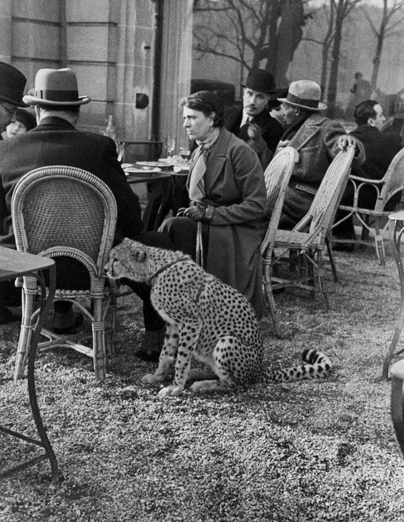 17. A woman bringing her pet cat to have a cup of tea 1. A World War Veteran, 1932, 2. Jean Bugatti standing next to his Bugatti Royale, one of the seven he built, 1932, 3. This milkmaid is trying to get the pig off the road, Norway, 1932, 4. Joan Crawford, 1932, 5. Just a young girl and her dog, 1932, 6. Taking a break after their tennis match, Washington DC, 1932, 7. Charles Ebbets shooting his famous photo, Lunch atop a Skyscraper, 1932, 8. Rocking the fur coats and a Cadillac in Harlem, 1932, 9. Painting the Eiffel Tower in 1932, 10. Sitting in peace in NYC, 1932, 11. Driving a dynasphere, 1932, 12. Harpo Marx and Amelia Earhart on the set of Horse Feathers, 1932, 13. Jacob Rheuben Ehrlich (8 ft 6 in) walking the Chicago streets with kids, 1932, 14. Sitting on a truck, playing her guitar in Amarillo, Texas, 1932, 15. A family portrait in Poland, 1932, 16. A colorized portrait of Amelia Earhart, 1932, 17. A woman bringing her pet cat to have a cup of tea, 18. Charles C. Ebbets snapping photos on a skyscraper, 1932, 19. Young Love, 1932, 20. Stan Laurel and Oliver Hardy taking a break from filming, 1932, 21. Fighting their way through the snow, 1932, 22. Taking an extremely unsafe nap, 1932, 23. Street fashion in Japan, 1932, 24. This is what packing for a camping trip looked like in 1932