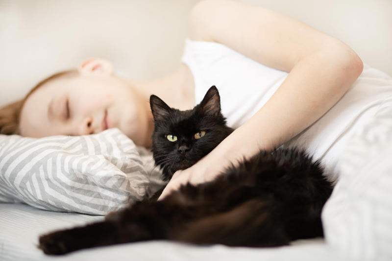 Dust mites, fungi and other unseen bedfellows, Sheets and pillowcases, Mattresses, Pillow interiors, Blankets and duvet covers