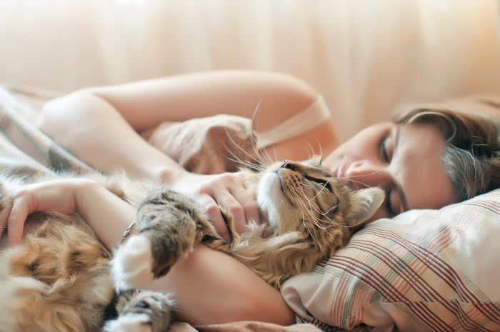 1.ごはんをもらえること, 2.守ってくれること, 3.安全で快適な住空間, 愛猫が「ご恩」を感じているかわかる？