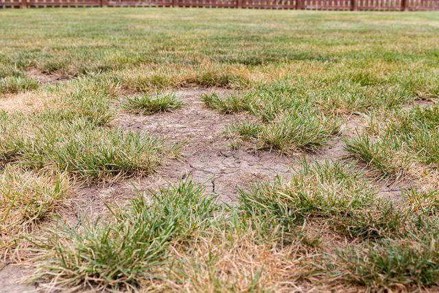Luxury Outdoor Kitchens, Large Areas of Artificial Turf, Real Lawns in Hot Climates, DIYing Serious Infrastructure, Projects That Bring More Stress Than Joy