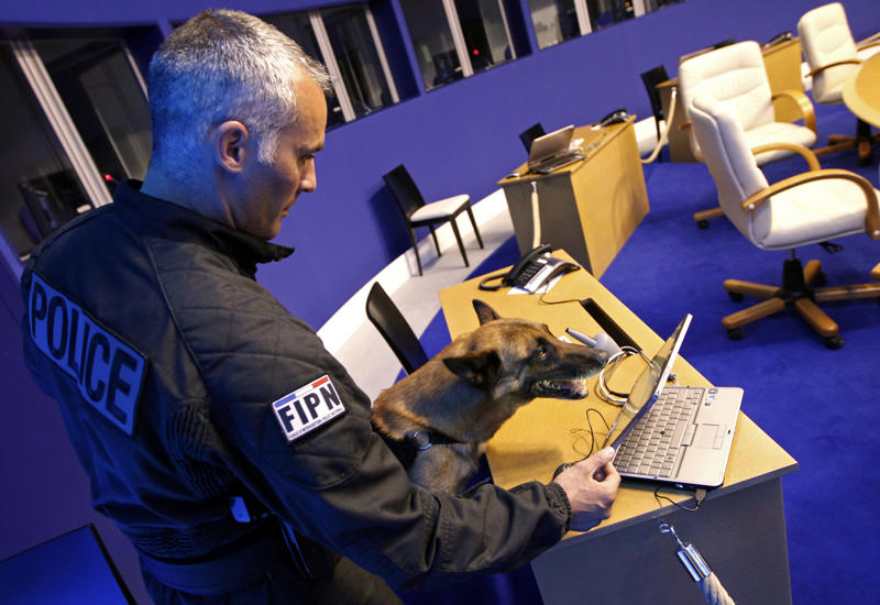 Bomb-sniffing dog, Quarantine inspection dog, Regimental mascot, Sniffer dog, Canine companion, Helping people who have disabilities, A friend at your side, Military training, Police dog, Multipurpose canine, Army dog, Guard dog, The good shepherd dog, Anti-drug tasks, Helicopter hounds, A nose for the job