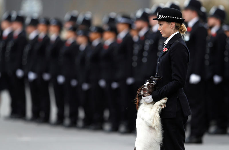 Bomb-sniffing dog, Quarantine inspection dog, Regimental mascot, Sniffer dog, Canine companion, Helping people who have disabilities, A friend at your side, Military training, Police dog, Multipurpose canine, Army dog, Guard dog, The good shepherd dog, Anti-drug tasks, Helicopter hounds, A nose for the job