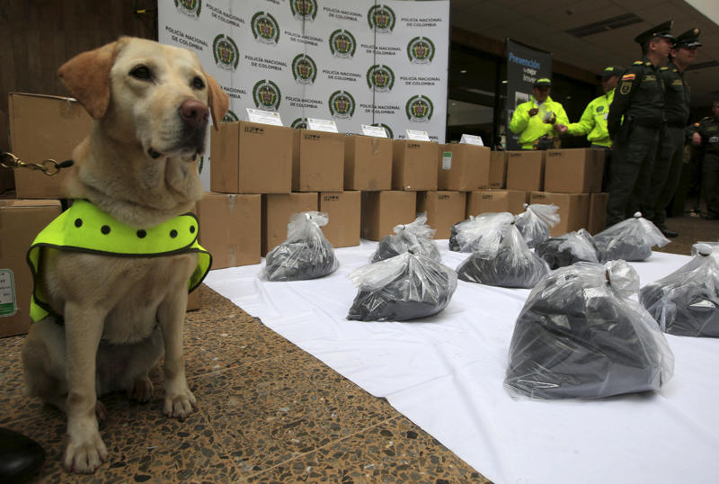 Bomb-sniffing dog, Quarantine inspection dog, Regimental mascot, Sniffer dog, Canine companion, Helping people who have disabilities, A friend at your side, Military training, Police dog, Multipurpose canine, Army dog, Guard dog, The good shepherd dog, Anti-drug tasks, Helicopter hounds, A nose for the job
