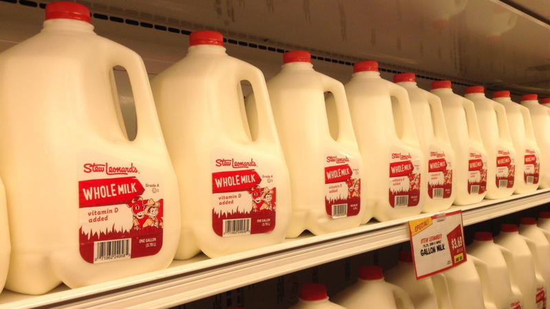 1. Whole Milk And Full-Fat Dairy Products 1. What Causes Lactose Intolerance In The Body, 2. How Lactose Intolerance Differs From A Dairy Allergy, 3. Signs And Symptoms You Shouldn’t Ignore, 4. Why Some People Develop It Later In Life, 5. The Role Of Ethnicity And Genetics In Lactose Intolerance, 6. How Much Lactose Is Too Much For The Intolerant, 7. Ways Lactose Intolerance Is Diagnosed, 8. The Difference Between Primary And Secondary Lactose Intolerance, 9. How Lactose Intolerance Affects Nutrient Absorption, 10. Can Lactose Intolerance Ever Go Away?, 1. Whole Milk And Full-Fat Dairy Products, 2. Soft Cheeses Like Brie, Feta, And Cream, 3. Butter In Daily Meals, 4. Ice Cream And Frozen Dairy Desserts, 5. Yogurt Made From Cow’s Milk, 6. Baked Goods Containing Milk Powder, 7. Cream-Based Soups and Sauces, 8. Processed Meats With Hidden Dairy Additives, 9. Instant Mashed Potatoes And Boxed Mixes, 10. Chocolates And Candy Bars With Milk Fillings