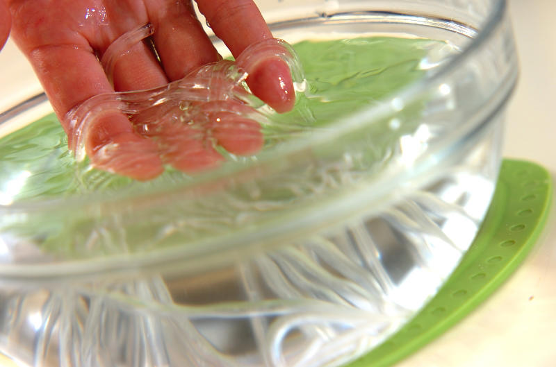 葛きりのオレンジソース, 手づくり黒蜜の葛きり, 抹茶ミルク葛きり, 葛きりの中華サラダ, 葛きりの中華スープ, 葛きり入り卵スープ