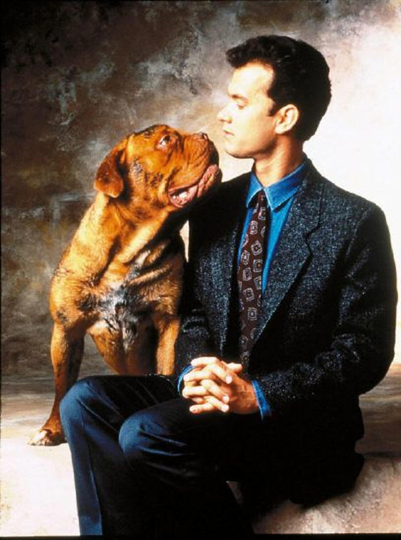 'Turner and Hooch' 'That Thing You Do!', 'Bridge of Spies', 'Saving Mr. Banks', 'Angels and Demons', 'The Money Pit', 'Charlie Wilson's War', 'Turner and Hooch', 'Toy Story 2', 'Captain Phillips', 'Road to Perdition', 'A League of Their Own', 'Toy Story', 'Cast Away', 'Saving Private Ryan', 'Forrest Gump', 'Toy Story 4', 'A Beautiful Day in the Neighborhood', 'Pinocchio'